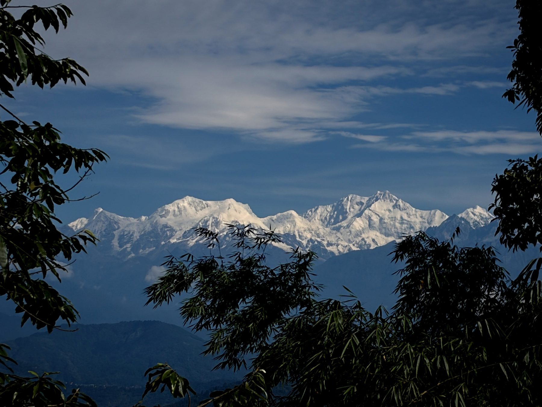 Snow-capped Kanchenjunga range framed by trees on a clear day near Kepchaki Stay, Lamahatta