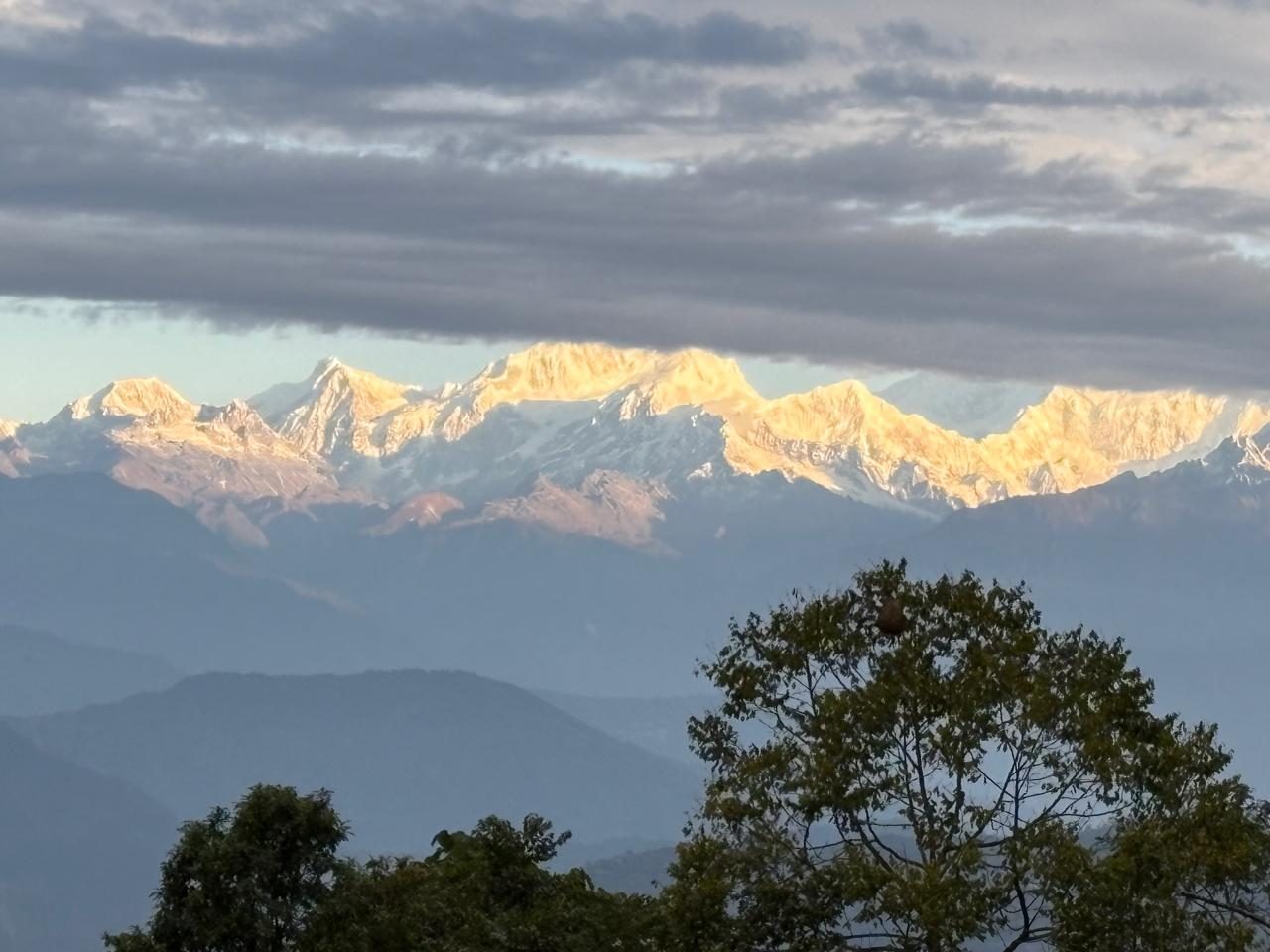 Kanchenjunga view at sunrise from Kepchaki Stay homestay in Lamahatta, Darjeeling