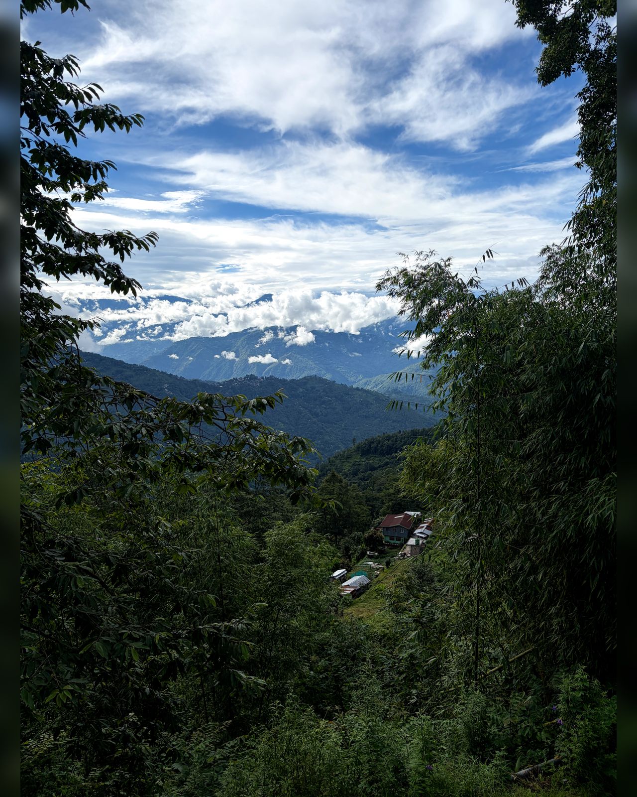 Monsoon-green Teesta valley and mountain view from Kepchaki Stay, homestay near Lamahatta pine forest